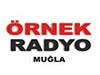 Örnek Radyo Bilgileri