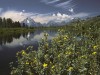 Grand Teton - Buffalo Valley