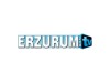 Erzurum Web TV