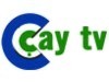 Çay Tv Bilgileri